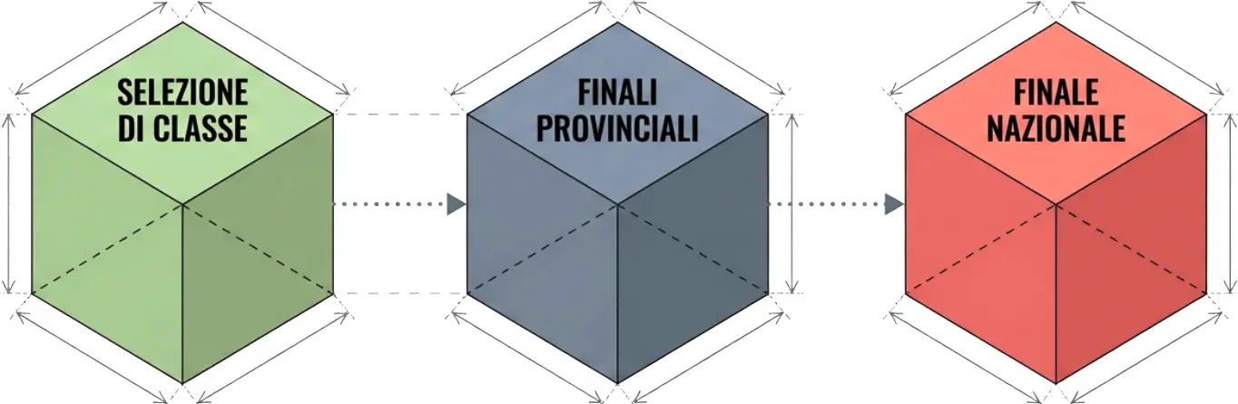 illustrazione struttura competizione